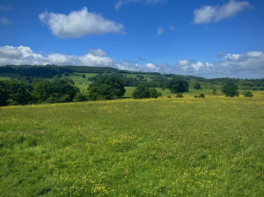 Yorkshire Wolds - Max