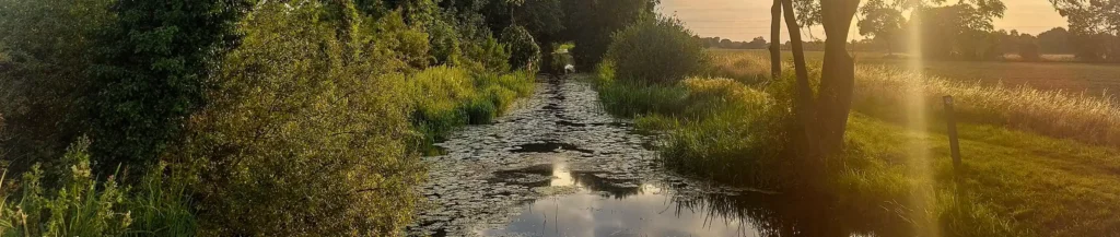 Pocklington Canal - Jennifer Hunt