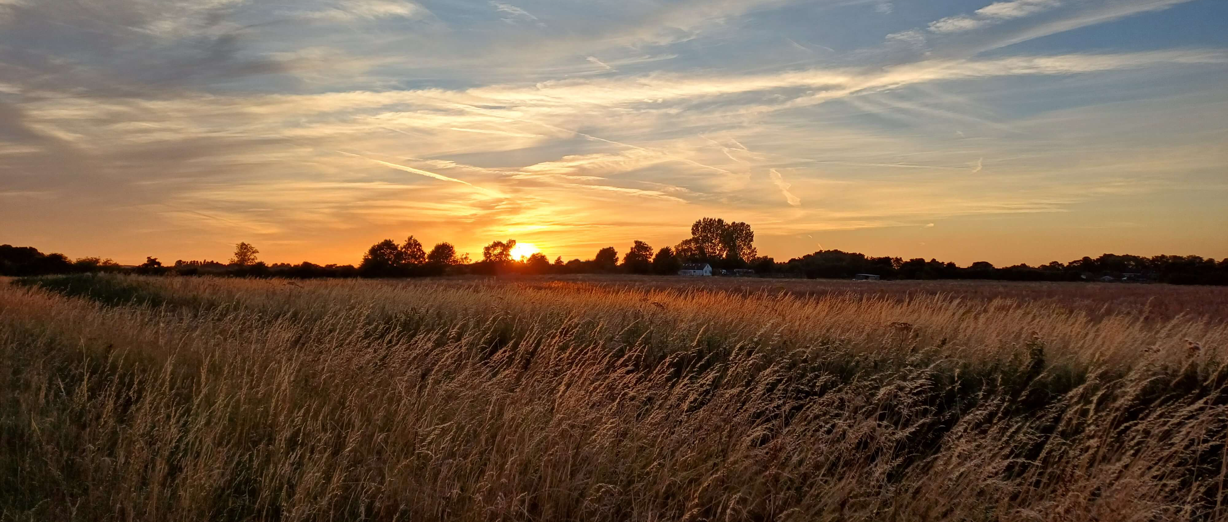 landscape of A farmers field at sunset