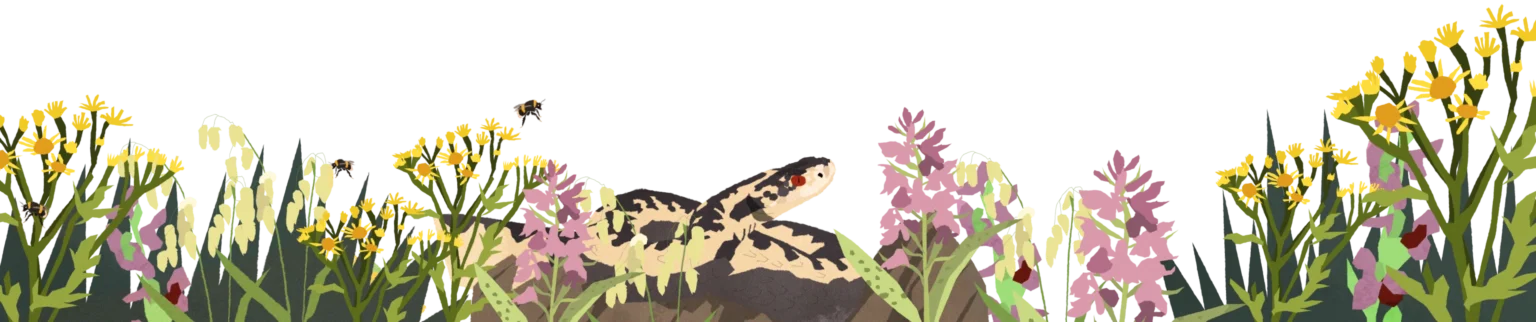 illustration of some grass and animals