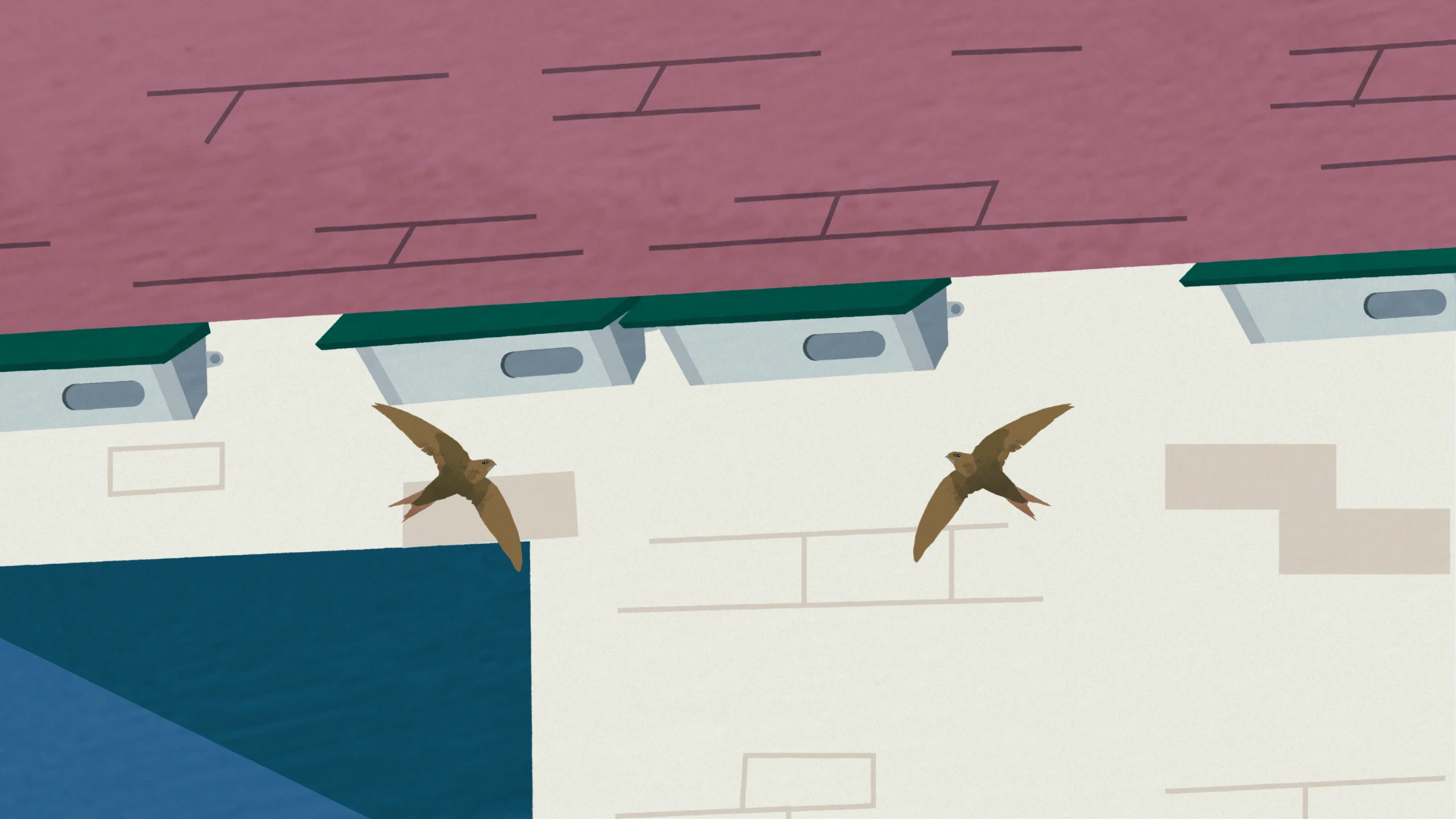 illustration of 2 brown birds flying near some bird boxes