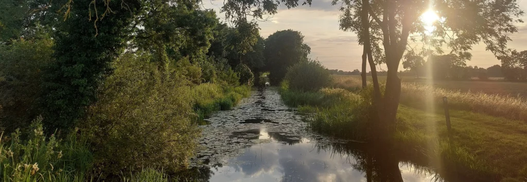 Pocklington Canal - Jennifer Hunt
