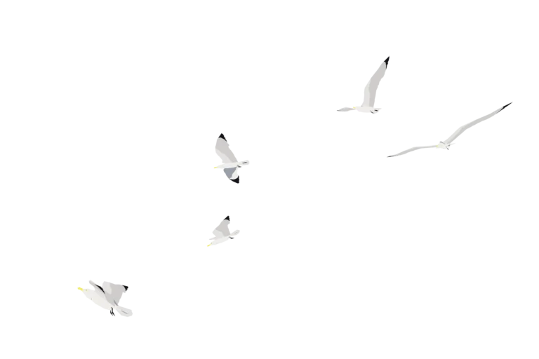 illustration of a flock of seagulls flying