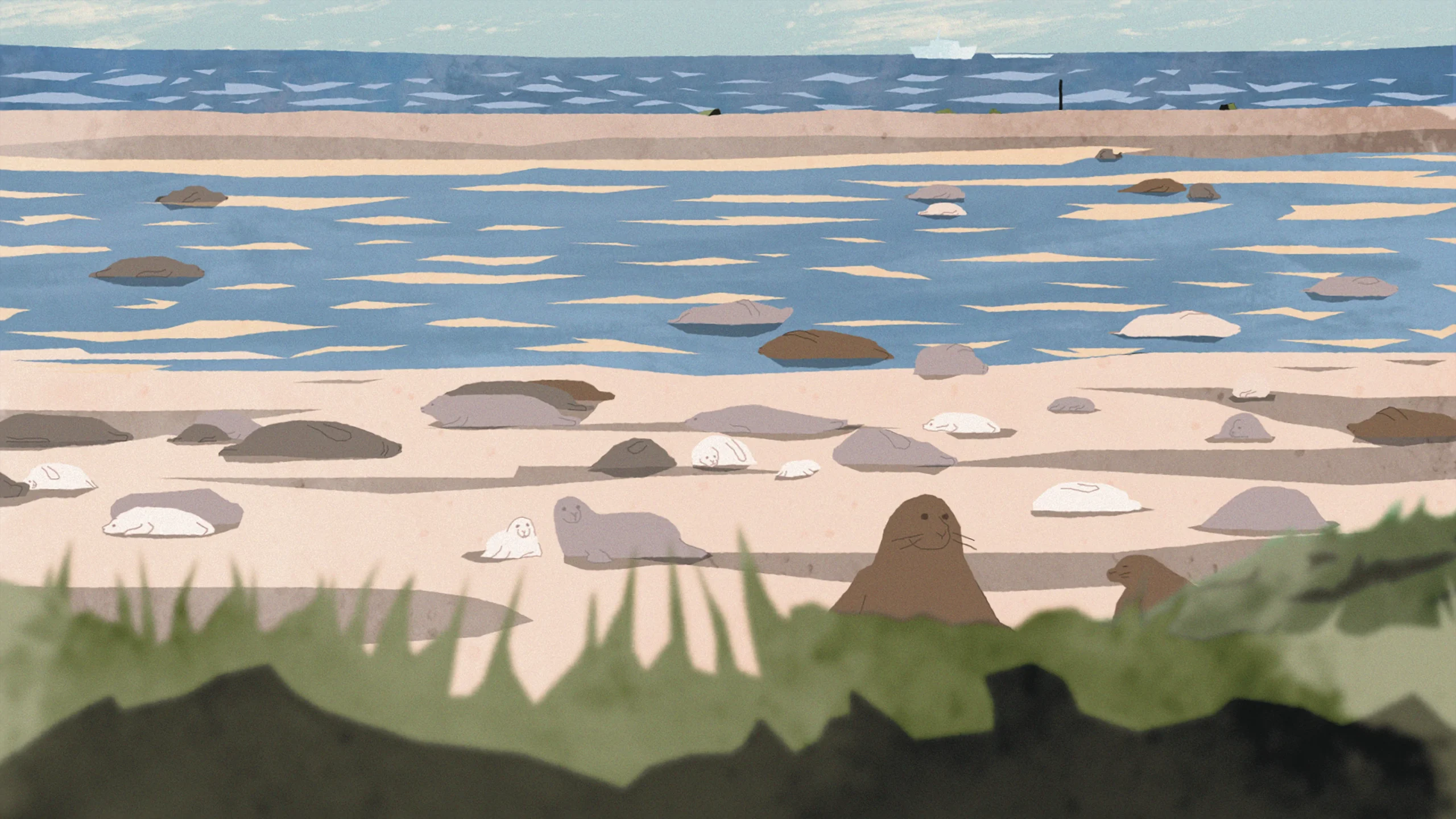 illustration of seals on a beach