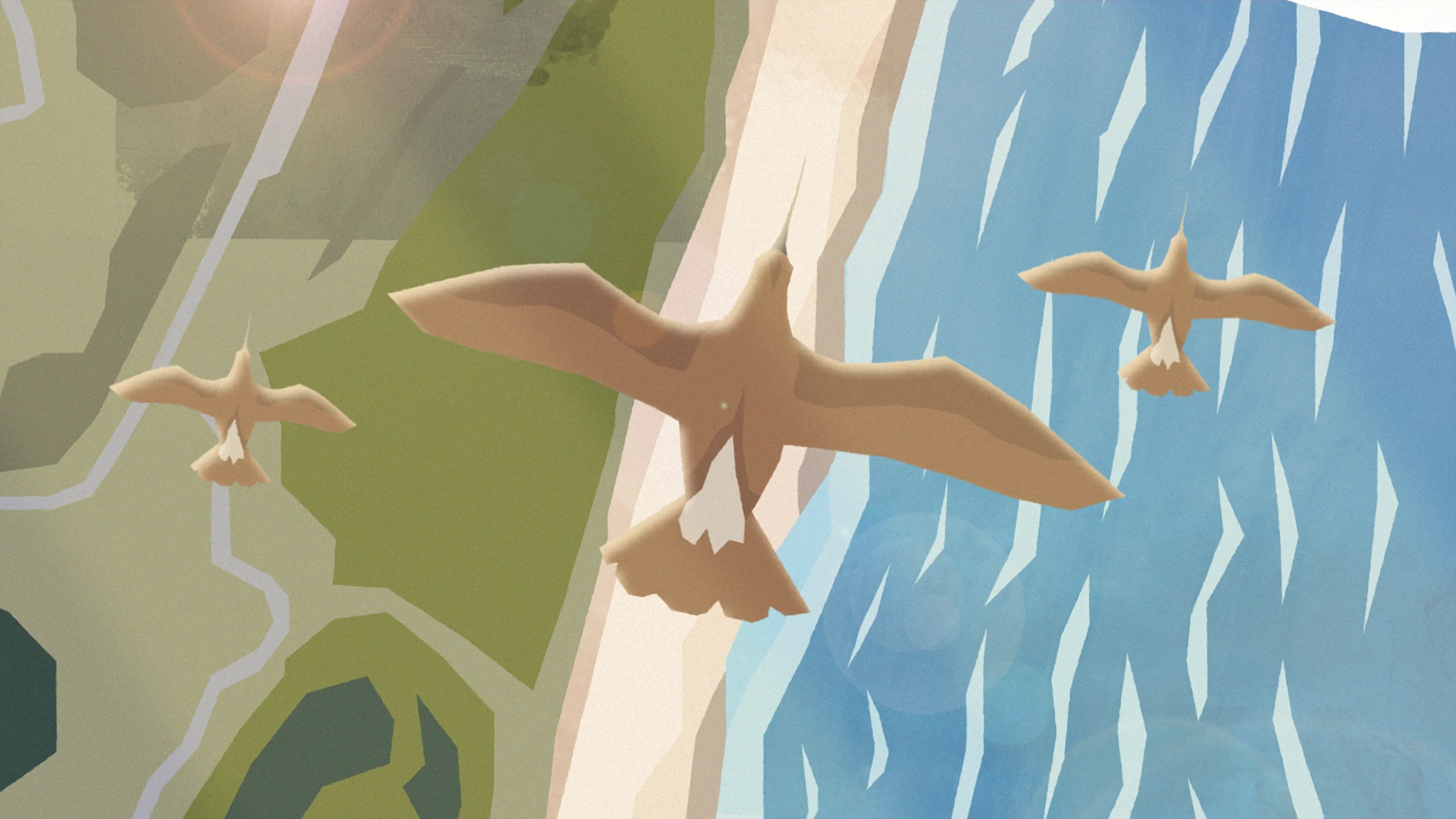 illustration of 3. birds flying over a beach