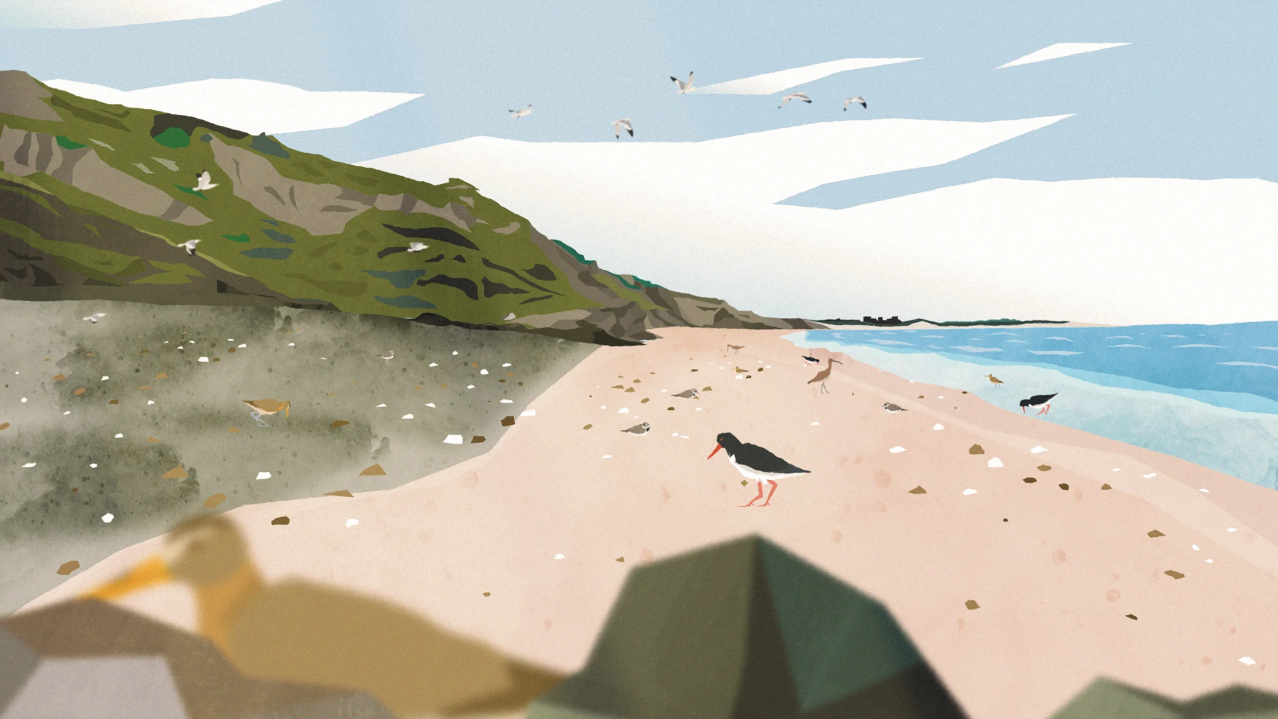 illustration of a beach with cliffs and birds