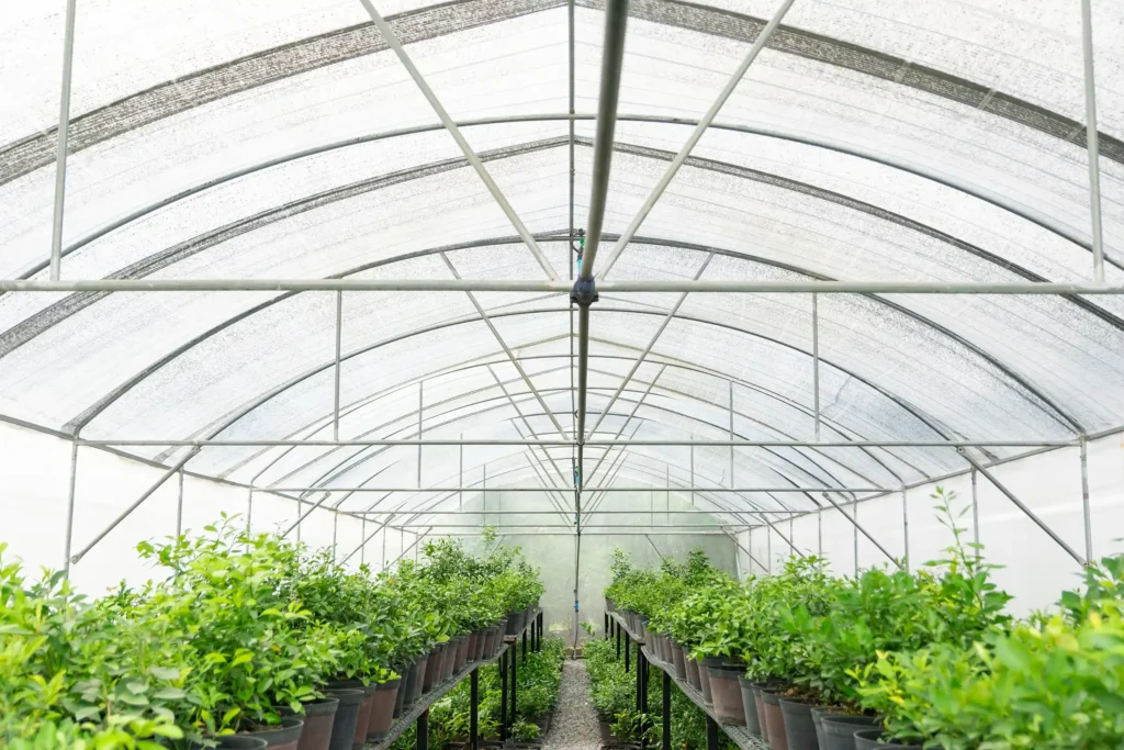 Tree nursery