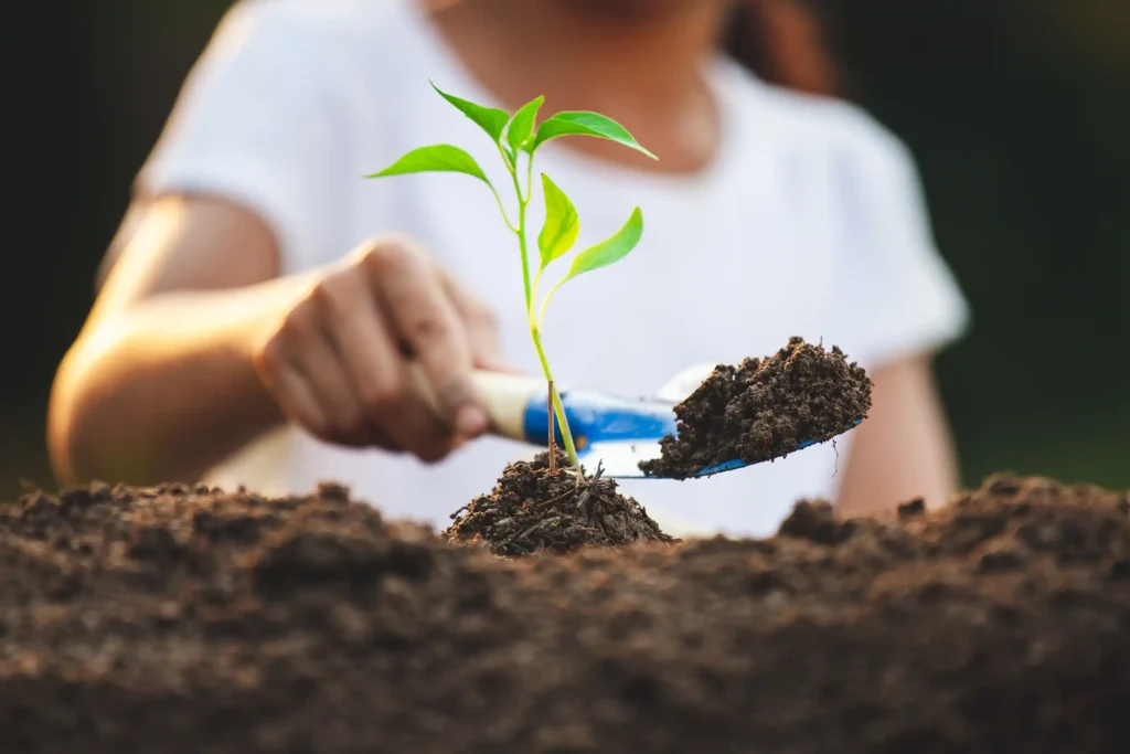 Tree planting