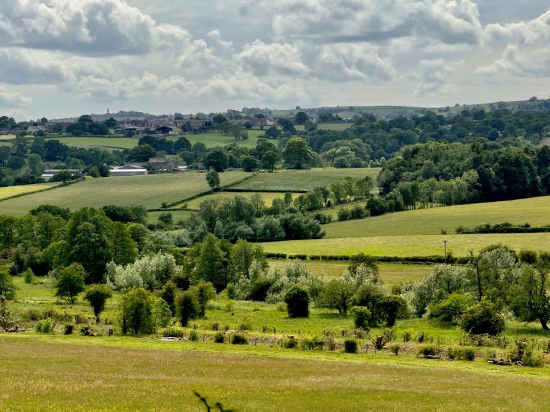 Trees and farmland
